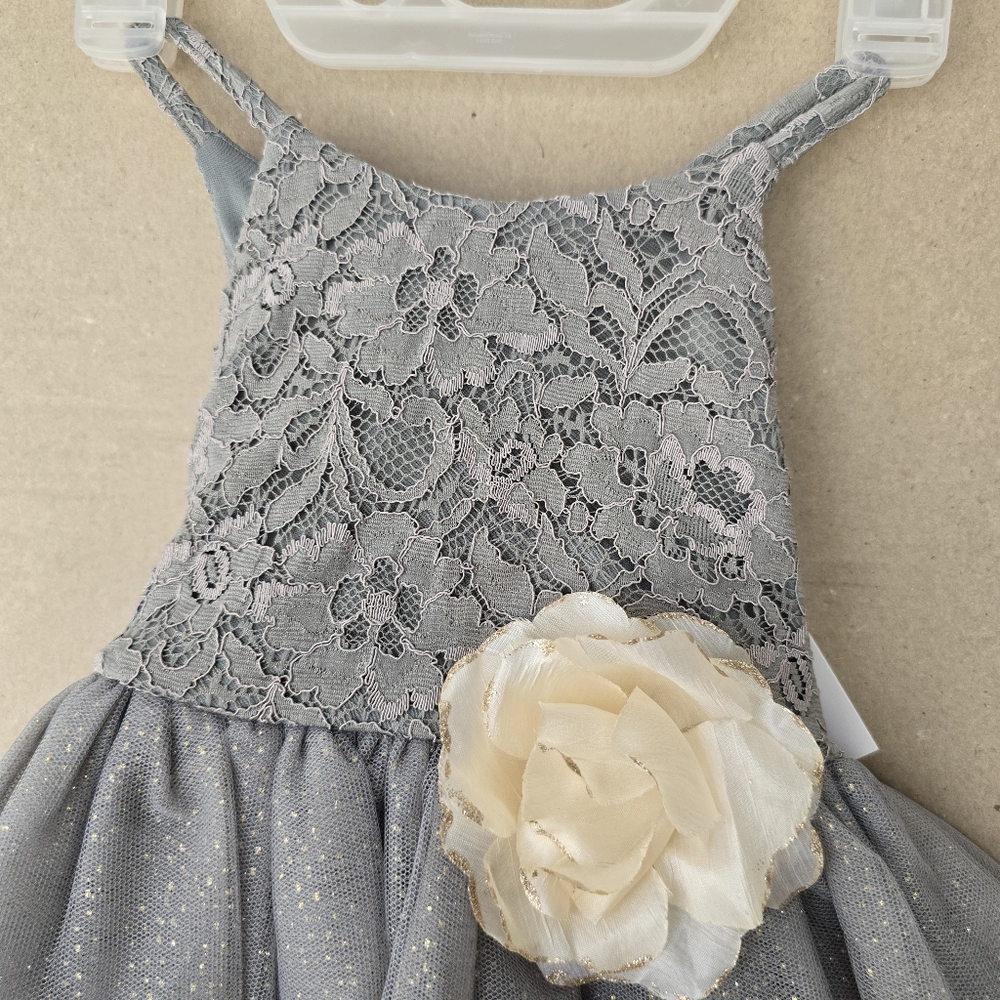 Nwt PINK & VIOLET Toddler Girls Sleeveless Lace Glitter Mesh Dress - Picture 4 of 8